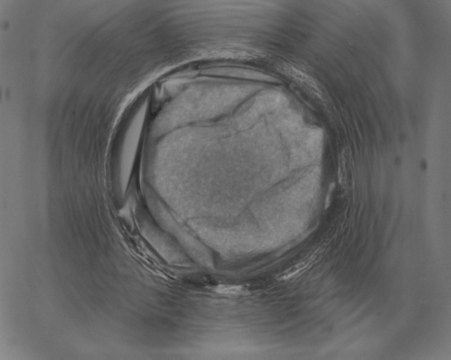 X0000066950388200604211821