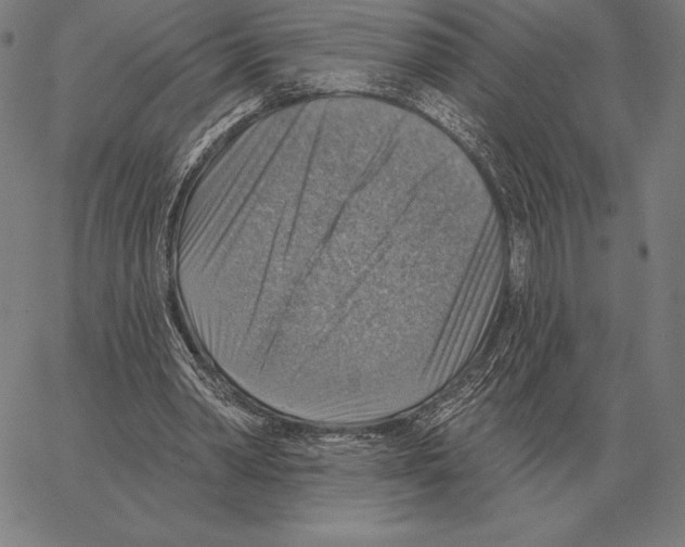 X0000066950390200604211821