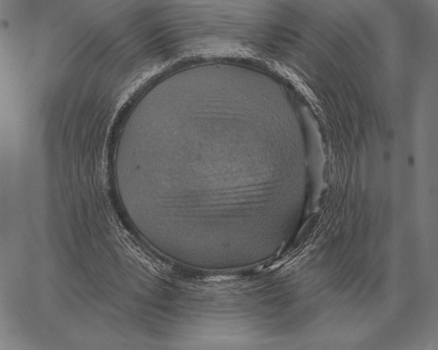 X0000066950391200604211821