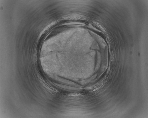 X0000066950392200604211820