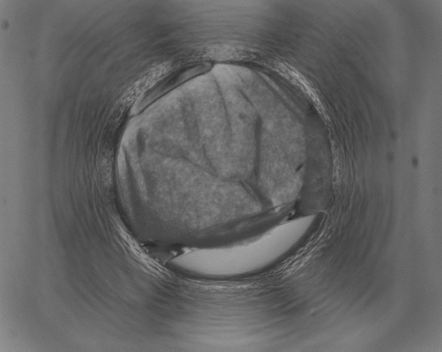 X0000066950393200604211820