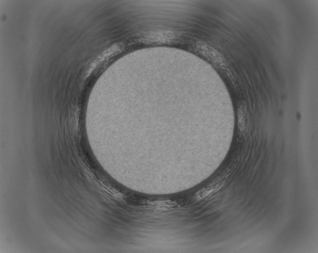 X0000066950396200604211820