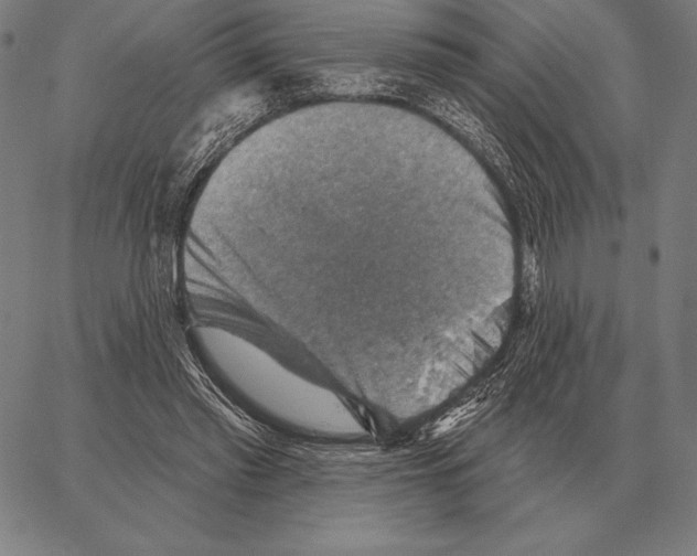 X0000066950397200604211820