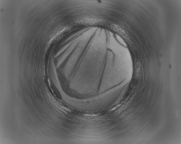 X0000066950399200604211820