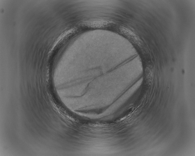 X0000066950400200604211820