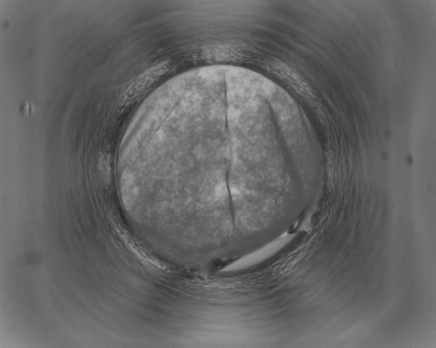 X0000066950401200604211820