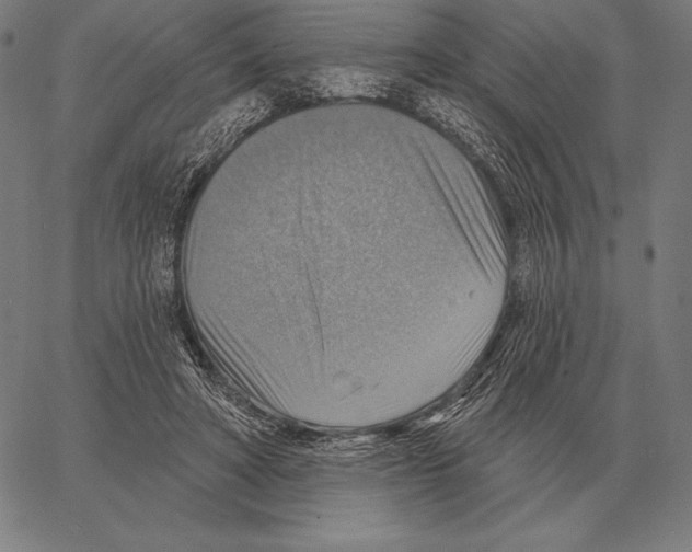 X0000066950402200604211820