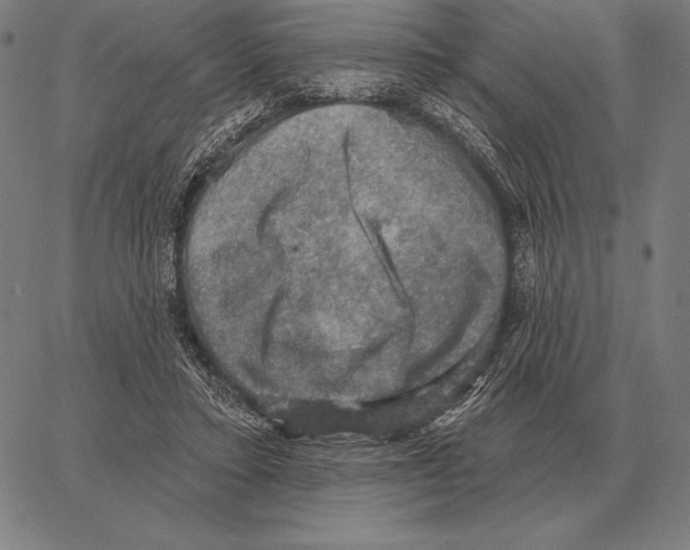 X0000066950403200604211820