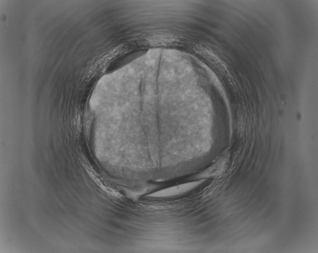 X0000066950405200604211820