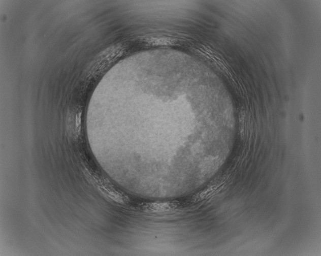 X0000066950406200604211820