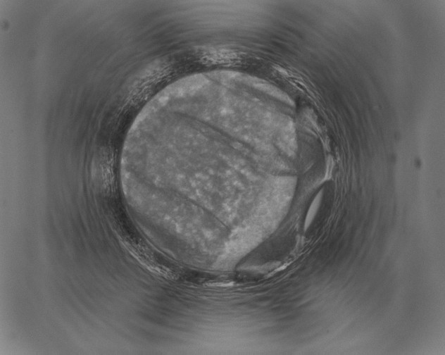 X0000066950408200604211820