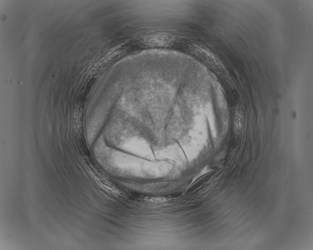 X0000066950409200604211820