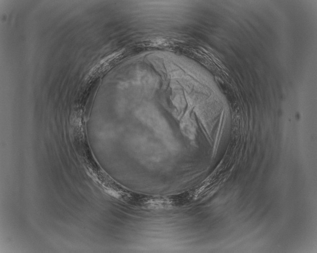 X0000066950415200604211820