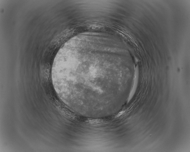 X0000066950417200604211820