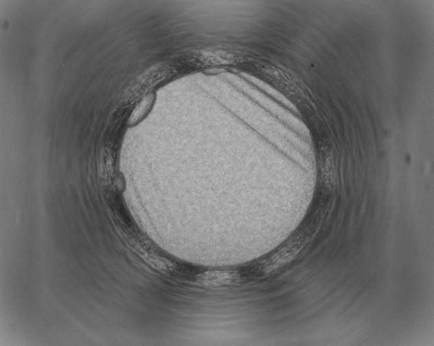 X0000066950418200604211820