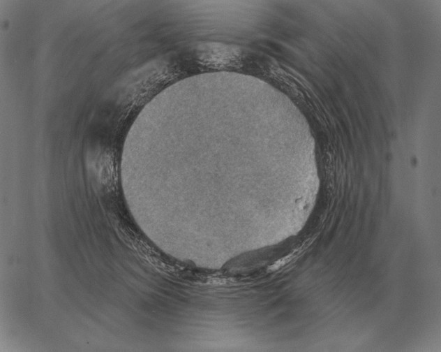 X0000066950420200604211820