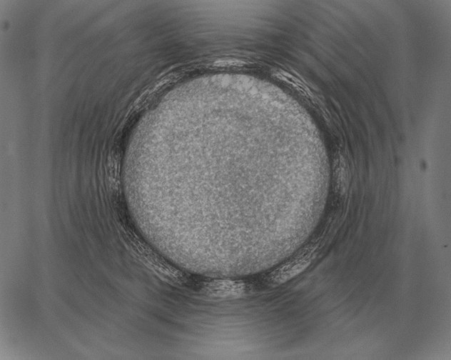 X0000066950421200604211820