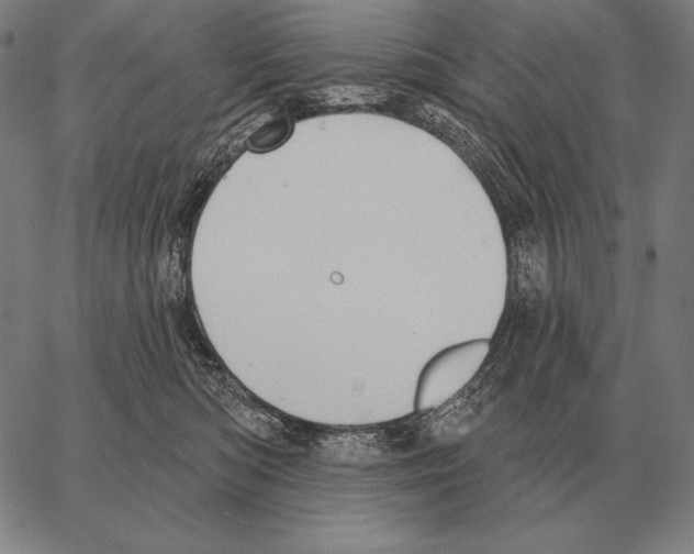 X0000066950422200604211820