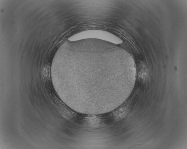 X0000066950425200604211820