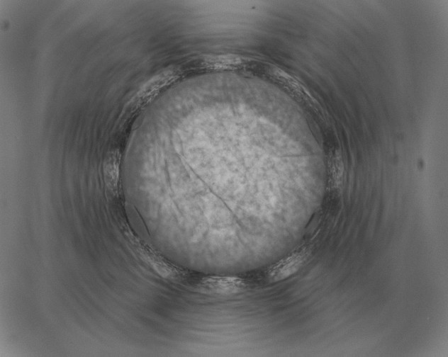 X0000066950427200604211820