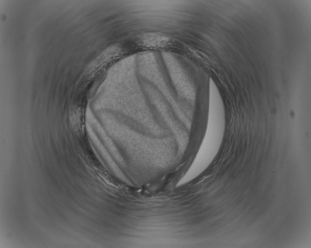 X0000066950428200604211820