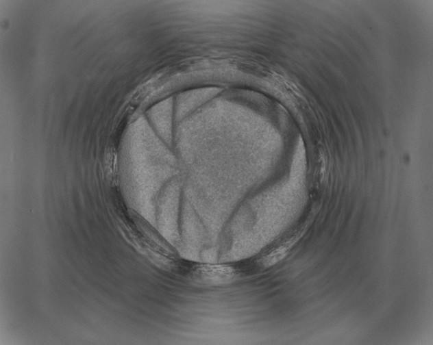 X0000066950429200604211820