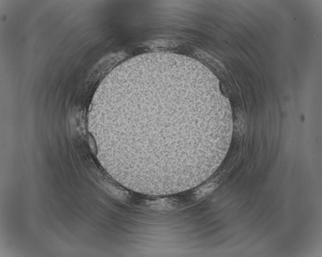 X0000066950430200604211820