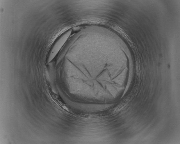 X0000066950434200604211819