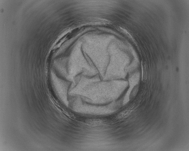 X0000066950435200604211819