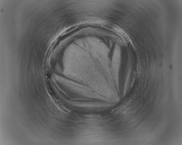 X0000066950436200604211819