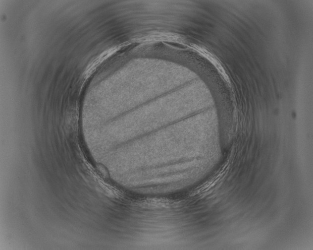 X0000066950437200604211819