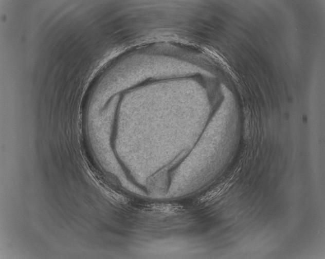 X0000066950439200604211819