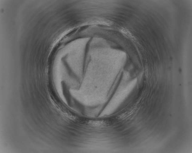 X0000066950440200604211819