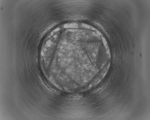 X0000066950443200604211819