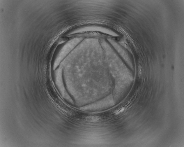 X0000066950444200604211819