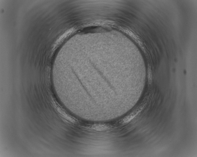 X0000066950445200604211819