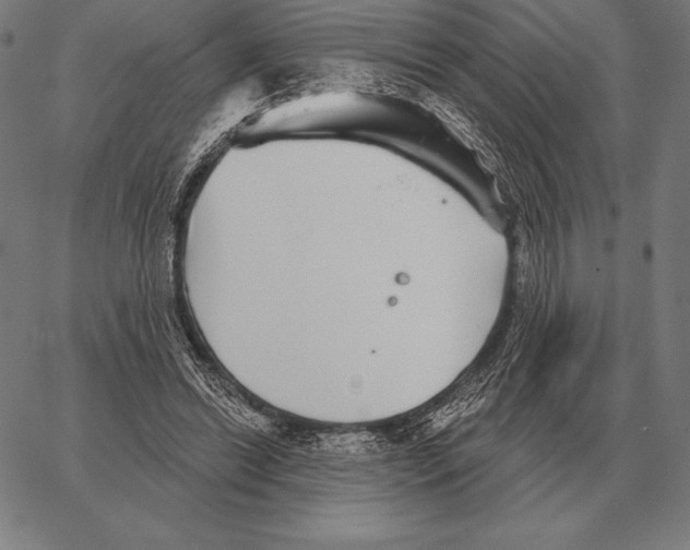 X0000066950446200604211819