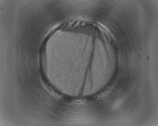 X0000066950447200604211819