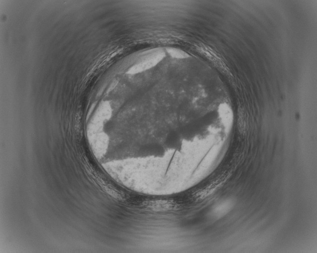 X0000066950449200604211819