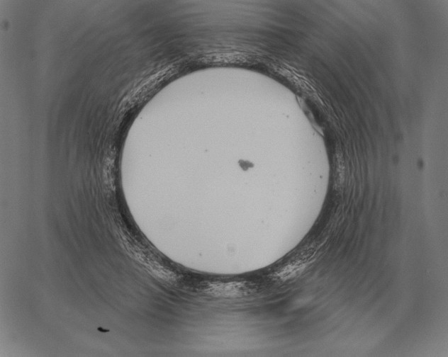 X0000066950450200604211819