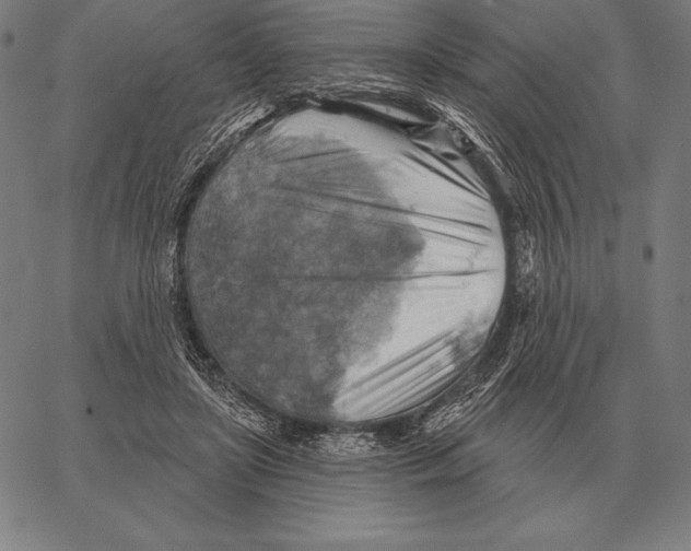 X0000066950451200604211819