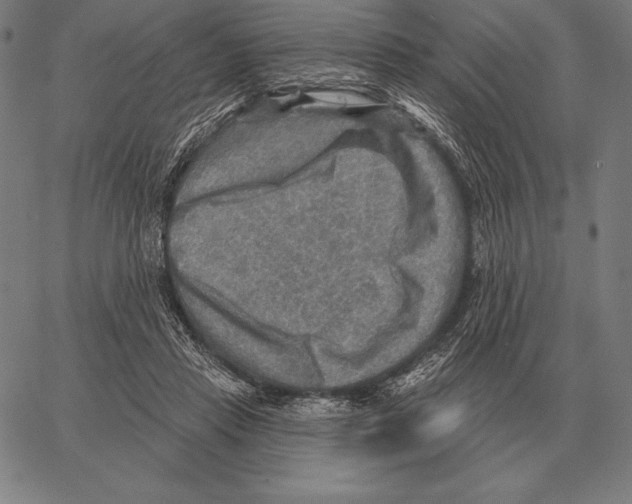 X0000066950453200604211819