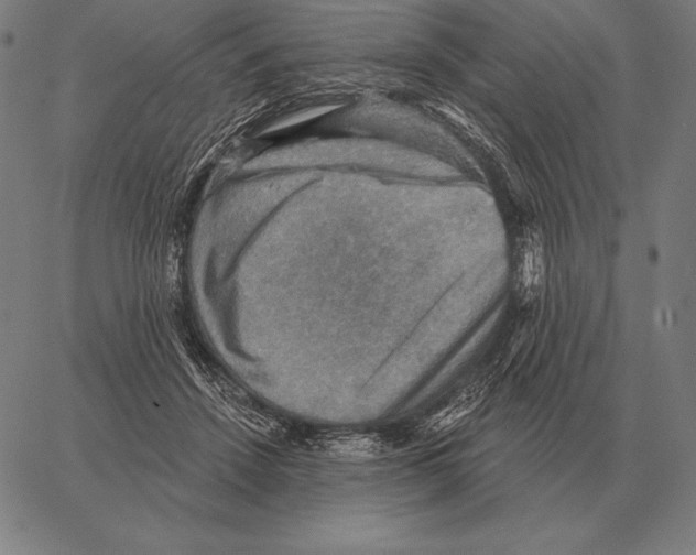 X0000066950456200604211819