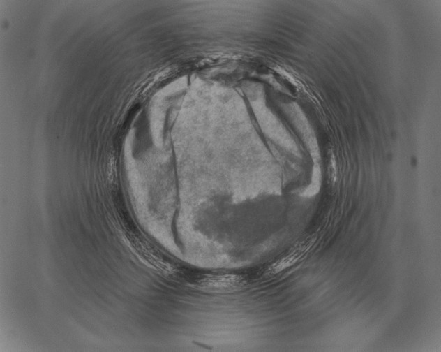 X0000066950459200604211819