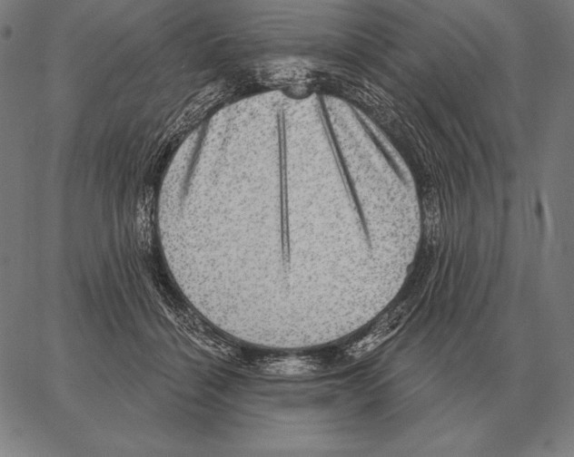 X0000066950460200604211819