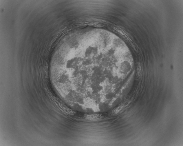 X0000066950461200604211819