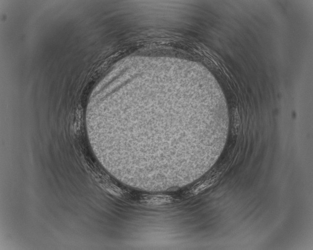 X0000066950463200604211819