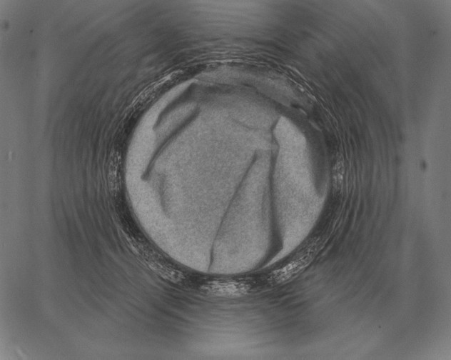 X0000066950464200604211819