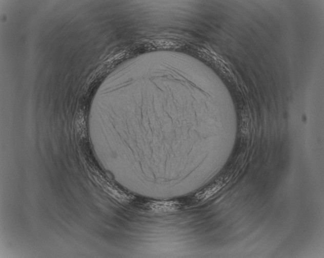 X0000066950465200604211820