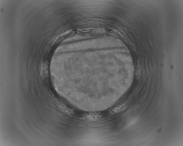 X0000066950466200604211820